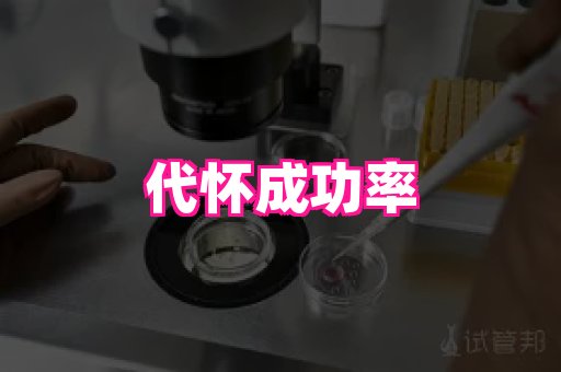 gfg孕网 4